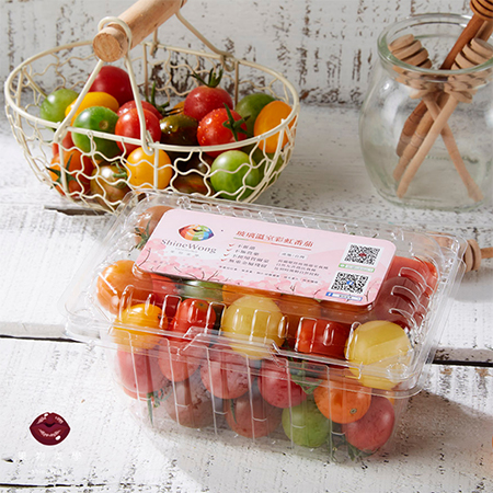 果物美學-雙色水果小黃瓜+彩虹番茄/4盒嚐鮮組