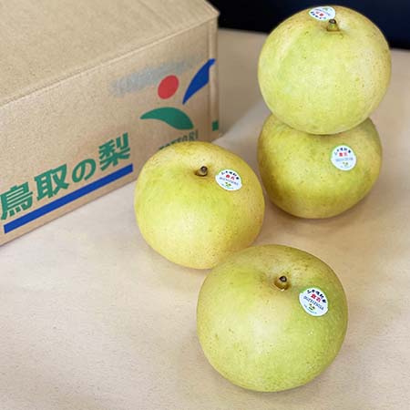 【預購】馥果FruitGO-日本鳥取二十世紀梨／原裝箱