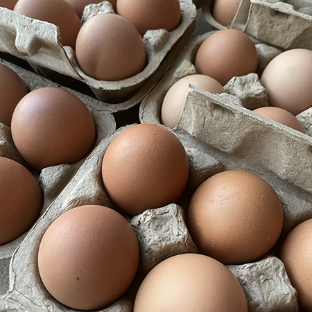 特瑪多有機農場-新鮮放牧雞蛋
