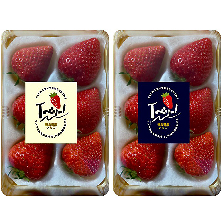 馥果FruitGo-日本空運德島草莓