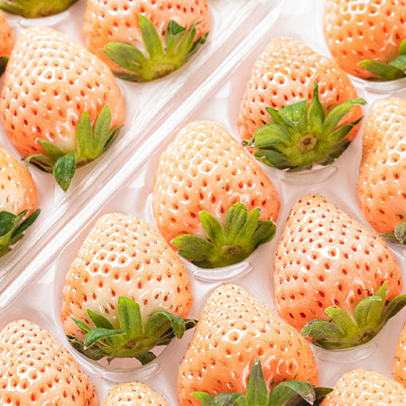 馥果FruitGo-日本熊本空運雅乃莓淡雪草莓